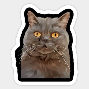 Cute cat BSH Sticker